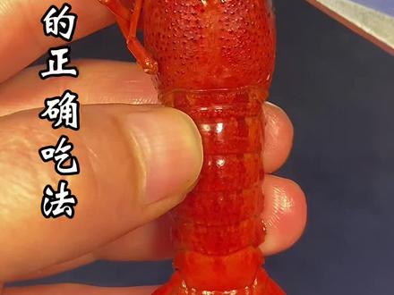 小龙虾的正确吃法你学会了吗? #创作灵感 #吃龙虾的季节 #同城美食 #春日美食大赏 #跟着抖音学做菜#麻辣小龙虾#心动推荐菜