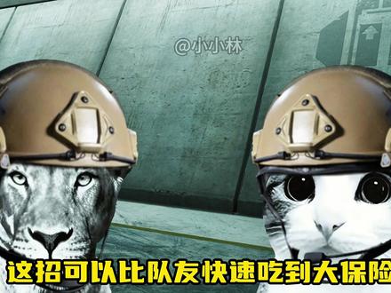鼠兄我又爽吃了 #真实生活分享计划 #狮子和小猫#三角洲行动
