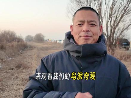 黄河入海口的鸟浪太震撼了 有时间一定要来看一下!#东营鸟浪 #北冥有鱼其名为鲲 #老十五村海哥 #黄河入海口 #大美东营