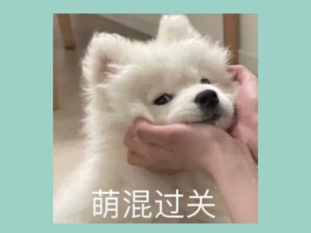 2026年第二次中职专业技能课程考试即将报名! #中职技能考试 #2027高职高考 #考试报名 #新易学高职高考 #证书报考