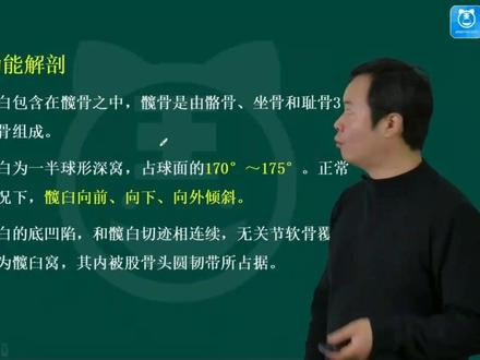 2025骨外科(副高)-考点精讲课髋臼骨折