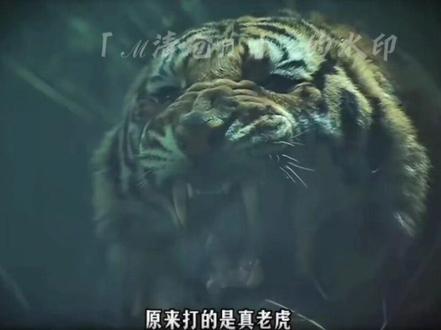 武松:导演你很牛逼克拉斯吗?