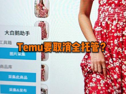 Temu要取消全托管? #temu #跨境电商 #temu运营
