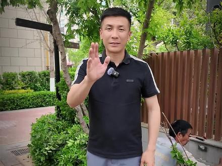 庭院驱蚊实测6种方法,最后一种零成本直接赢!#庭院驱蚊 #驱蚊方法 #庭院设计 #夏天庭院 #零成本驱蚊