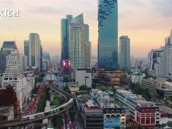 三星芯片的设计研发历史 #三星 #芯片 #手机 #商业