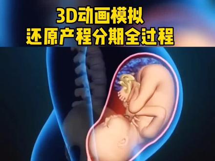 #医学科普 #孕期 #胎儿 #人类幼崽成长记 3D动画模拟还原产程分期全过程@抖音小助手