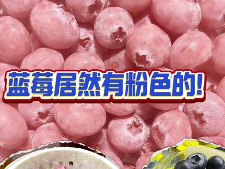 谁能拒绝一颗粉粉嫩嫩的蓝莓呢!#蓝莓 #粉色蓝莓 #红粉佳人#水果 #娱乐评论大赏