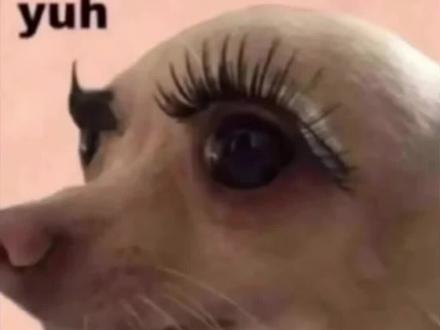 都给我去试!#新手化妆教程 #美妆 #建模#豆包#底妆