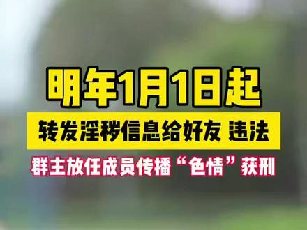 明年1月1日起,转发淫秽信息给好友,违法!