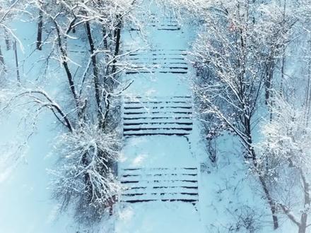 “不辜负每一片雪花的落下”,长春凌晨悄悄下起了雪,11月的第一场冬季之旅来长春赏雪吧~#长春文旅#董宇辉#学滑雪到长春#北国春城粉雪之都