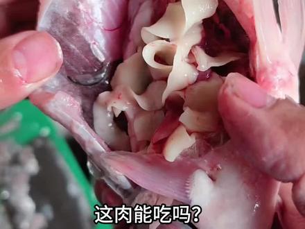 这肉能吃吗?#科普#肉