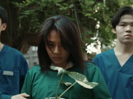 一家卧虎藏龙的疯人院 #她的盛焰 #好剧推荐 #品她的盛焰享疯爽人生