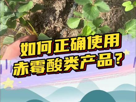 如何正确使用赤霉酸类产品?
更多精彩,尽在每周一到周五晚8:00主题直播!带您学习不一样的草莓种植知识! #草莓种植 #草莓育苗 #三农