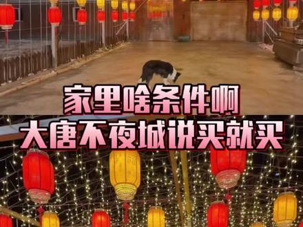 你是说边牧自己下单买了个大唐不夜城?#边牧 #万万没想到 #搞笑 #新年 #狗狗
