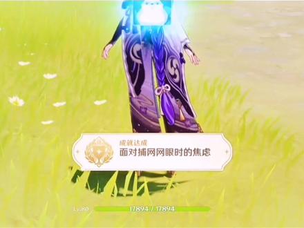 这隐藏成就你拿了吗#飞彩镌流年 #原神 #原神攻略 #雷电将军
