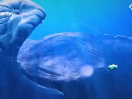 玛雅巨兽VS布鲁海怪