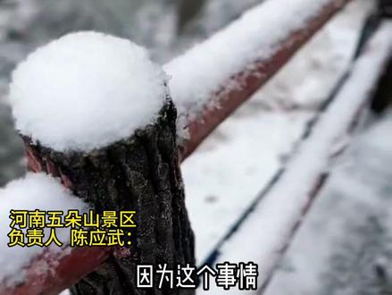 南阳五朵山景区:山东游客免费玩#都说南召美