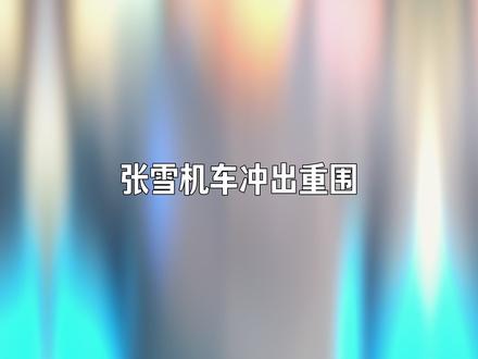 张雪机车第四冠 意味着什么? #张雪 #张雪夺冠 #wsbk #wsbk捷克站 #德比斯