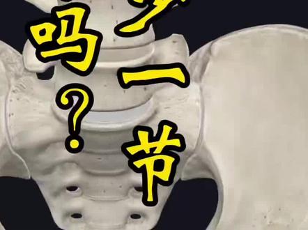 运动解剖@『你有少一节腰椎吗?』
#腰椎骶化 #运动解剖 #人体结构 #人体解剖学 #医学知识科普
