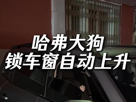 26款哈弗大狗,锁车窗户自动上升是怎么回事#汽车知识分享 #哈弗大狗 #长城汽车