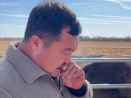 穿马衣要不要给马剃毛#马衣 #养马 #马匹知识