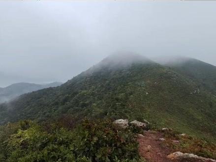雨天徒步九连尖,算个小武功山吧,路线比较有难度,但是值得#爬山 #徒步 #户外