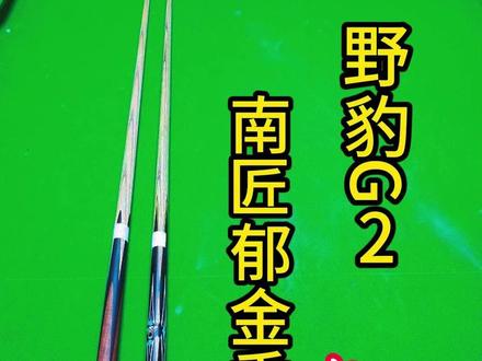 野豹G2和南匠郁金香怎么选? #台球 #野豹 #南匠 #台球器材