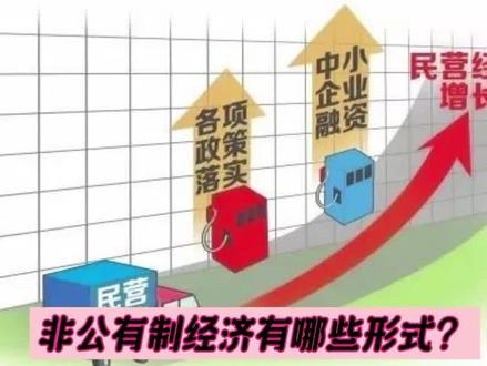 非公有制经济有哪些形式? #考试宝典 #高考加油站 #记忆秘籍 #社会主义市场经济体制