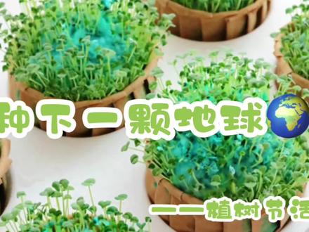 🌱种下一颗地球
🌍利用废旧纸张以及颜料制作纸浆种子地球,每日浇水、期待小种子发芽!#宝贝亲手制作展 #晒出你家萌娃做的手工