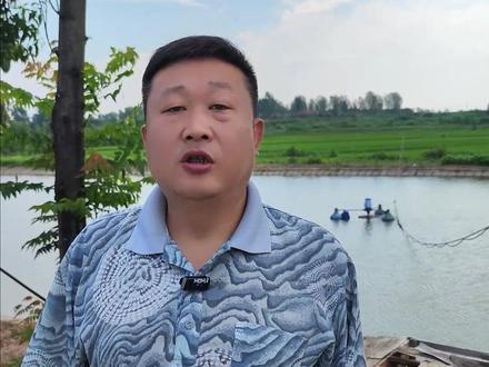 在水产养殖中,我们消毒杀菌和祛除寄生虫会用都辛硫磷和硫酸铜,那么它们该如何使用呢?今天全哥来告诉你。#辛硫磷 #硫酸铜 #改底 #解毒 #水产养殖