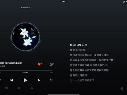 #网易云 如果注定要分开那相逢的意义是什么.