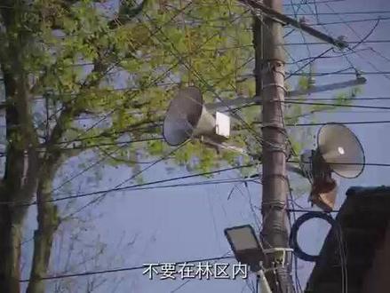 科普进行时|巍巍青山 让我守护你