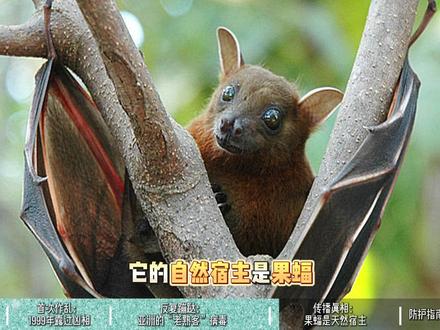 别慌,尼帕病毒不是新面孔 #抖出健康知识宝藏 #我的年度健康盘点 #韶云鹏医生 #尼帕病毒 #尼帕病毒是什么