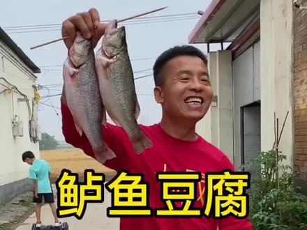 376河北省保定定州市农村,良子夫妇。河北和内蒙古的一对网恋夫妻。非常好,非常温暖,cozyfamily。大家都听好了以后不管什么鱼炖豆腐就这样炖今天给媳妇做的鲈鱼炖豆腐我万万没想到这么好吃#农村美食#新农人计划#乡村味道#鲈鱼吃