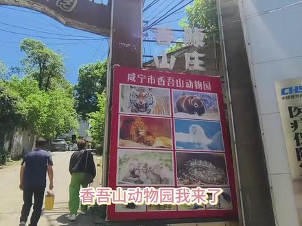 老旧围墙内,是被用心守护的小美好 #咸宁旅游 #武汉旅游 #香吾山动物园 #抖音旅游推荐官 #五一劳动节