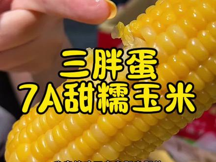 内蒙古甜糯玉米,又糯又甜,太好吃了#三胖蛋7A玉米#三餐藏着自然好味#玉米#甜糯玉米