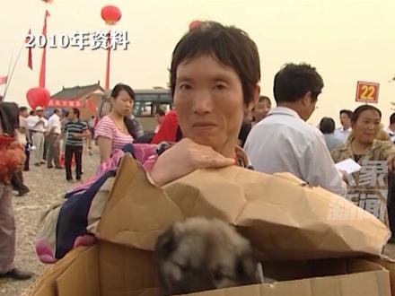 十一年前,因南水北调移民的淅川人搬家都带了什么