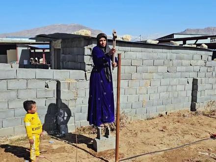 米娜打算在农场养鸡,要安装挤奶机器了,米娜请表姐夫帮忙