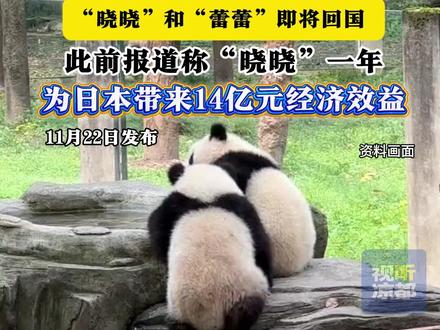 日本马上要没有大熊猫了