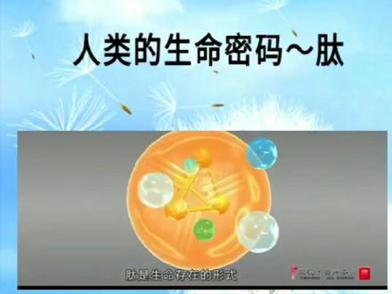 先为大家解读一下肽是什么,要不把大家都整懵圈了,它不是药呦😜#健康 #养生 #@抖音小助手