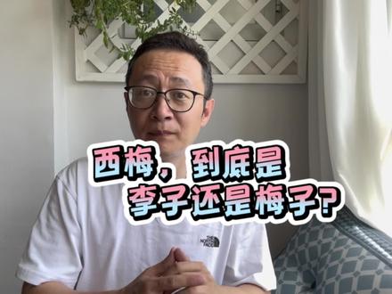 西梅是李子吗? #西梅 #李子 #水果
