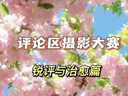 评论区摄影大赛 评论区摄影大赛之极致的锐评系列与治愈系青春回忆篇开启,博主虽然会锐评,但却能指出很多拍摄的问题,欢迎投稿好的作品会让更多人看到。#评论区摄影大赛#照片点评#摄影#风景#抖音评论区治愈系摄影展