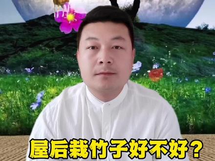 #抖音热点宝 #国学智慧 #持续关注持续精彩 #涨知识 屋后栽竹文人多,多出青年才俊…