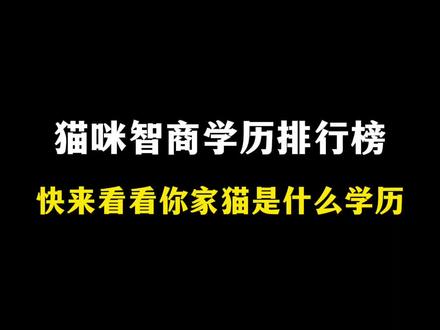 猫咪智商学历排行榜#猫咪#新手养猫#养猫人
