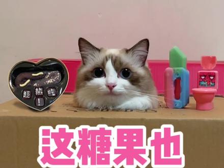 这糖果也太奇葩了吧!#猫咪的迷惑行为 #蓝氏猫粮 #甜甜圈猫粮 #新手养猫