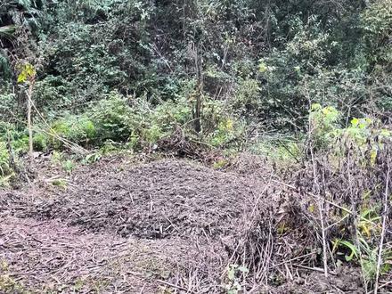 刀疤哥菜地代浇#荒野求生#老六荒野#七星山骆驼杯#荒野生存