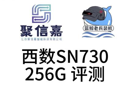 西数SN730 256G 评测 #diy电脑 #电脑 #电脑配置 #电脑装机 #diy