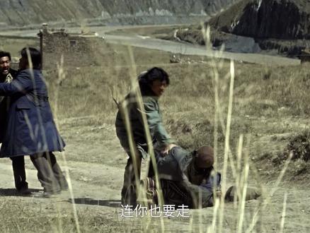 桑巴对编制的执着#生命树片段 #无人区