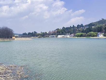 第七集‖昆明禁渔期野钓钓点推荐&钓点白水塘,鱼种多有鲢鳙 #禁渔期 #禁渔期野钓 #野钓钓点推荐 #野钓鲢鳙 #传统钓 #路滑钓法 #钓鲫鱼 #水库野钓 #钓鲢鳙