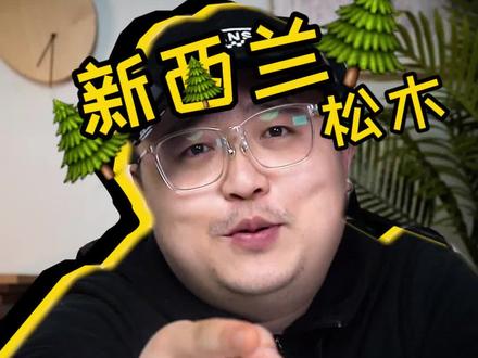 超高行业认可度的 #新西兰松木 ,最大优势竟是……
#板材 #辐射松 #全屋定制 #环保板材
